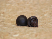 Raspberry Dark Chocolate