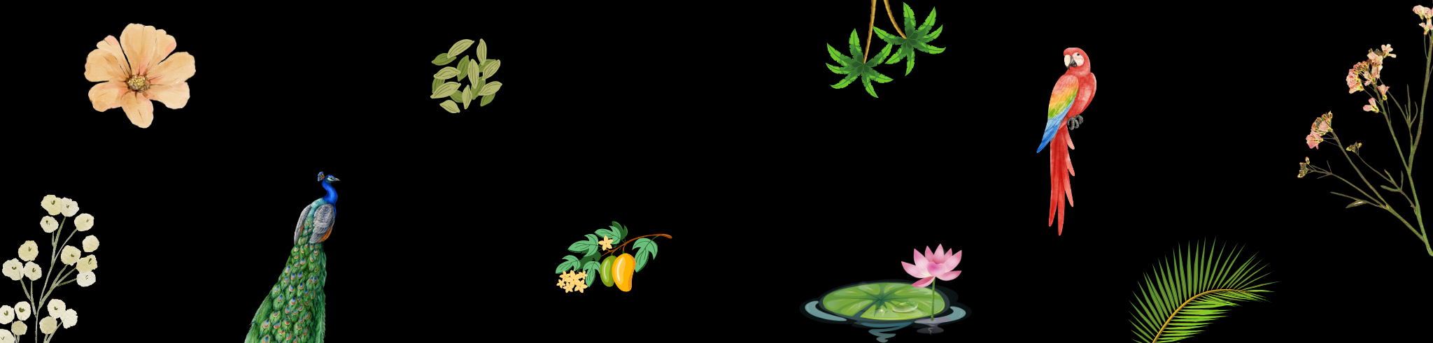 footer_-_background.png